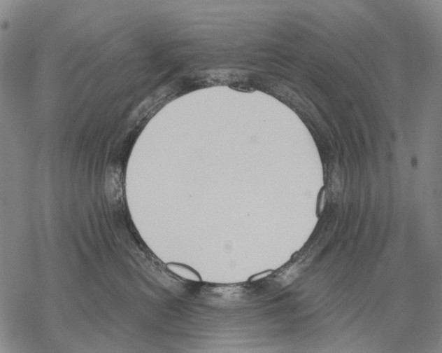 X0000068260478200605191807