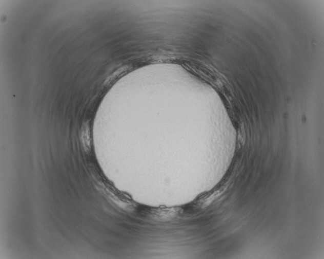 X0000068260479200605191807