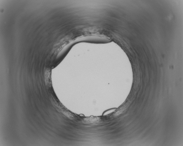 X0000068260480200605191807