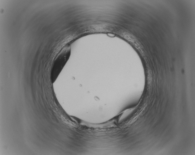 X0000068260481200605191807