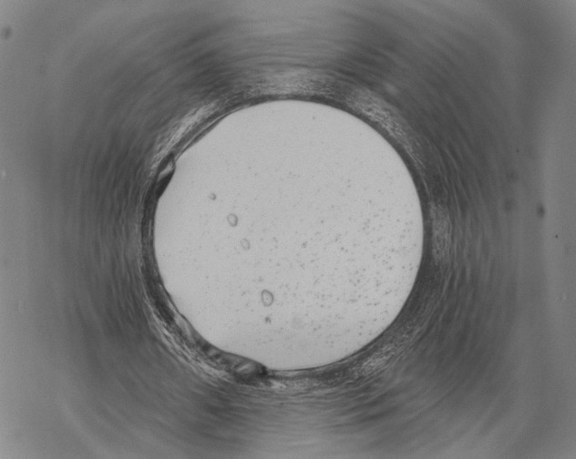 X0000068260482200605191807