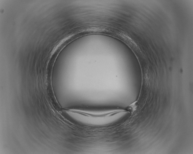 X0000068260484200605191807