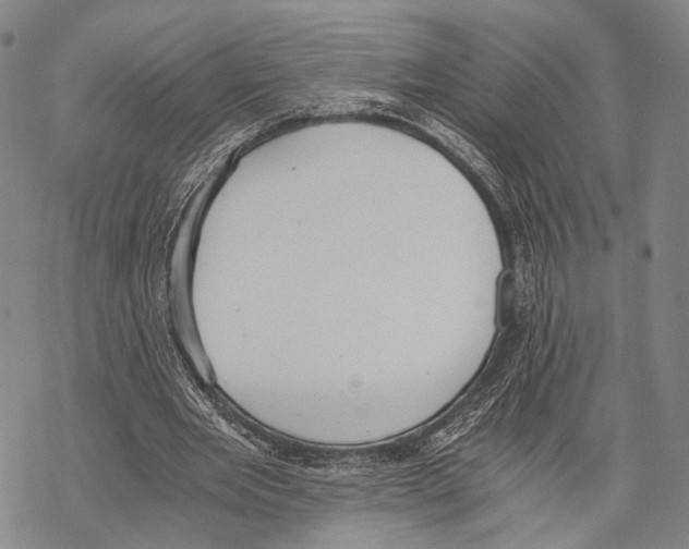 X0000068260485200605191807