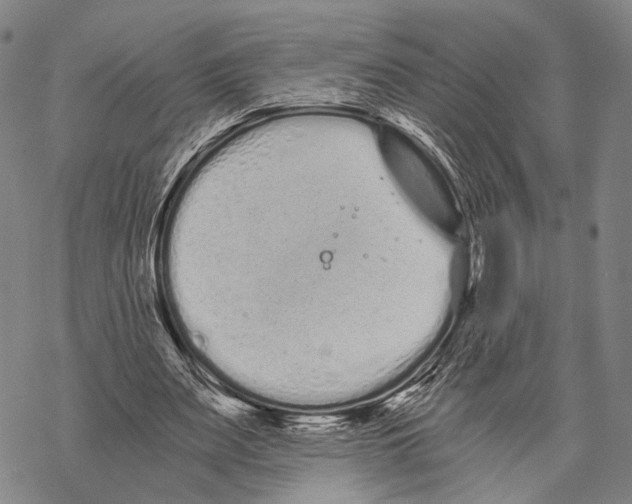 X0000068260487200605191807