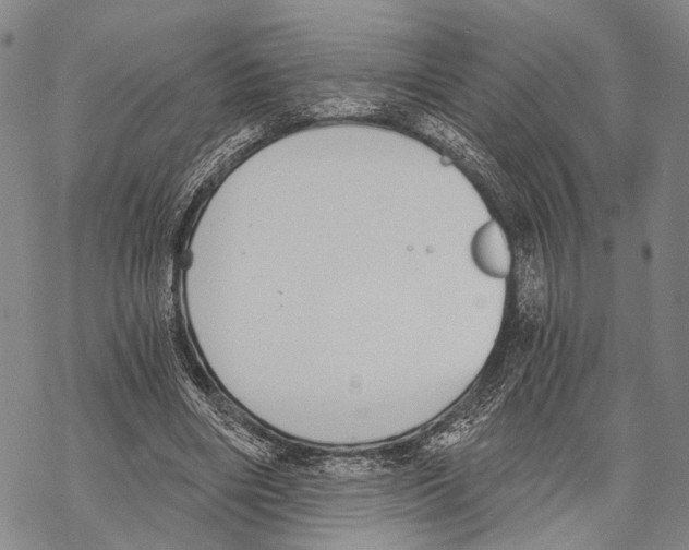 X0000068260490200605191806