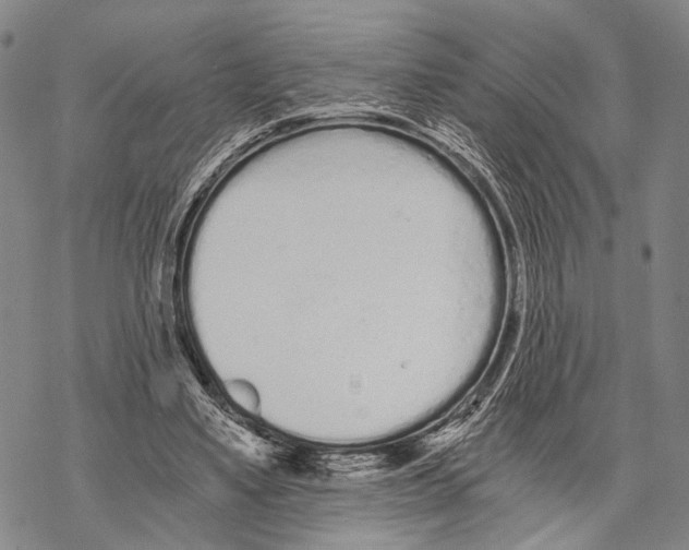 X0000068260491200605191806