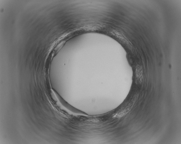 X0000068260492200605191806