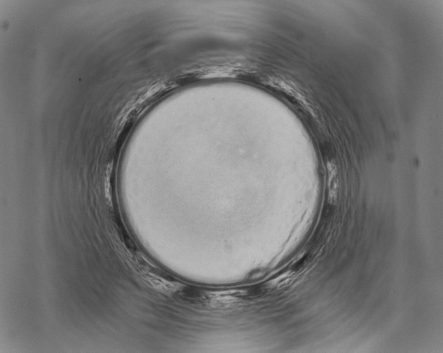 X0000068260495200605191806