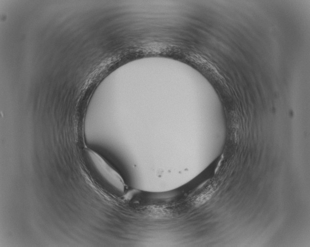 X0000068260496200605191806