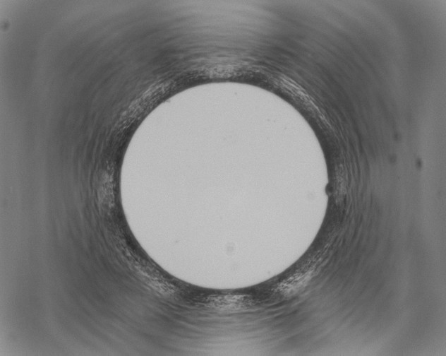 X0000068260497200605191806