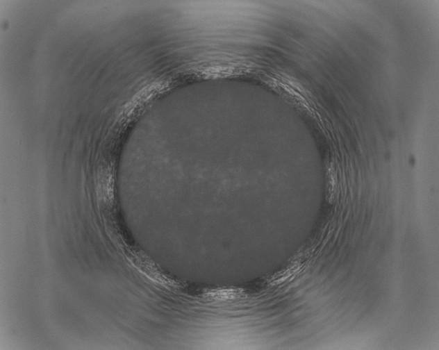 X0000068260499200605191806