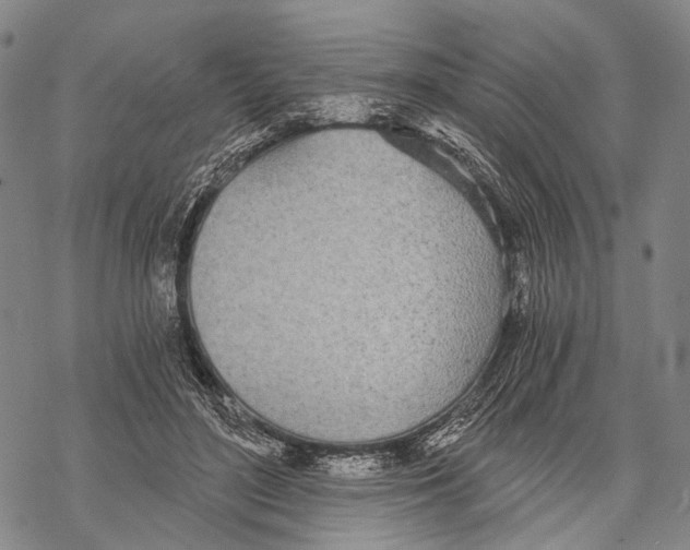 X0000068260500200605191806