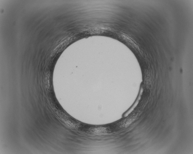 X0000068260501200605191806