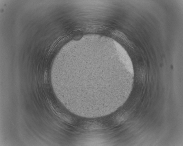 X0000068260502200605191806