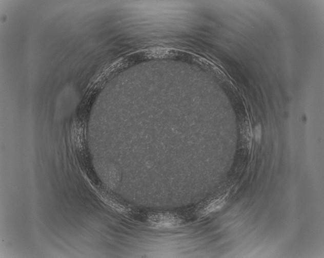 X0000068260503200605191806