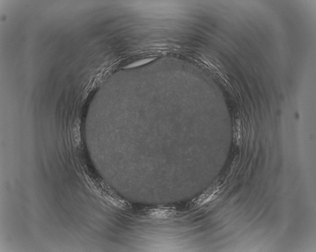 X0000068260504200605191806