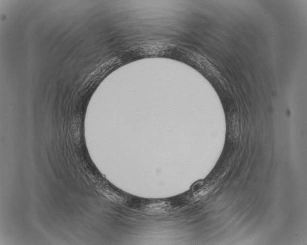 X0000068260505200605191806