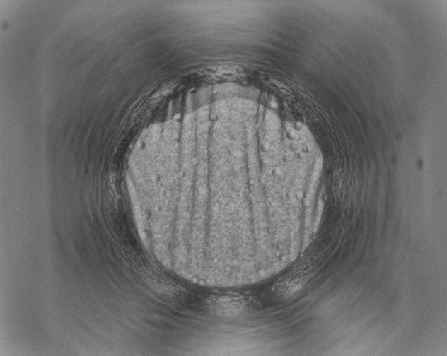 X0000068260506200605191806