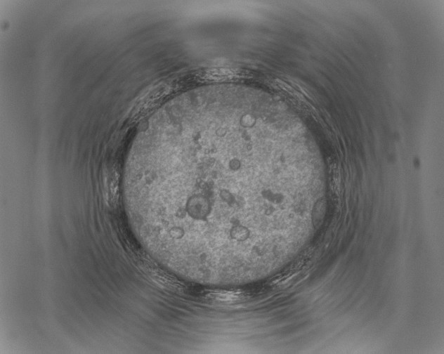 X0000068260507200605191806