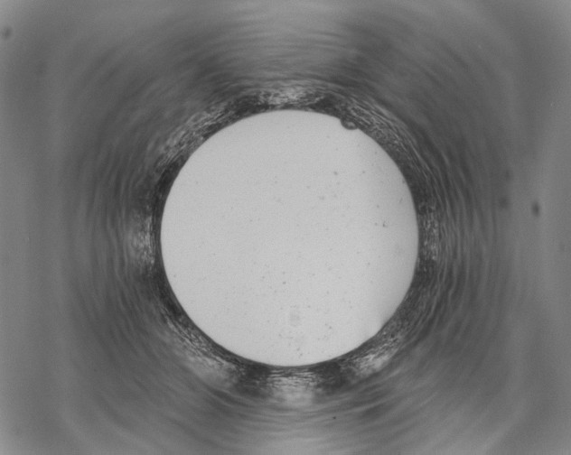 X0000068260510200605191806