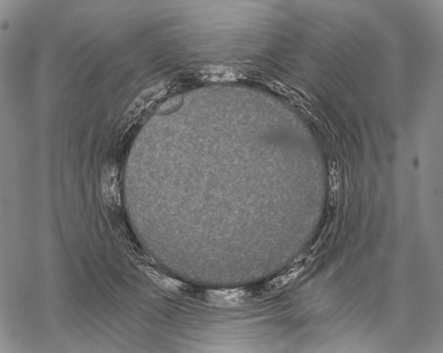 X0000068260511200605191806