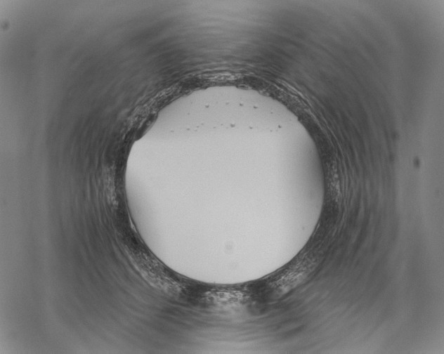 X0000068260512200605191806