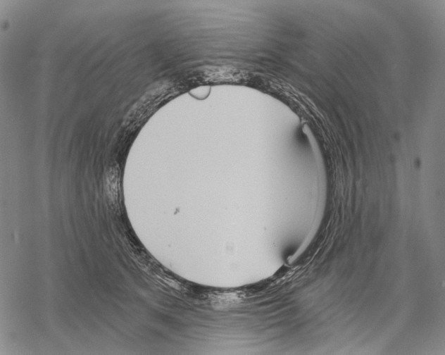 X0000068260513200605191806