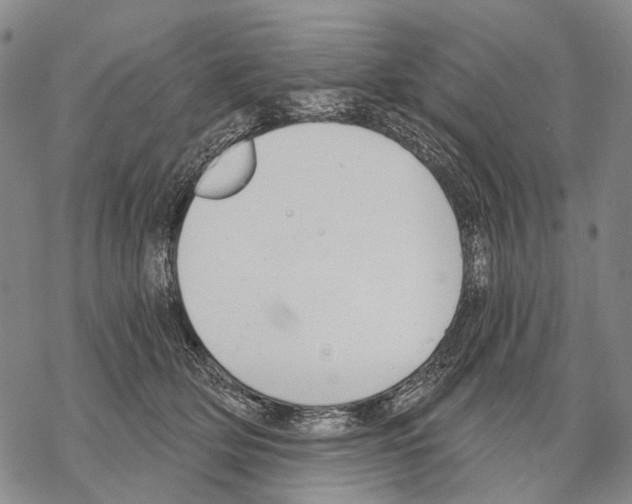 X0000068260514200605191806