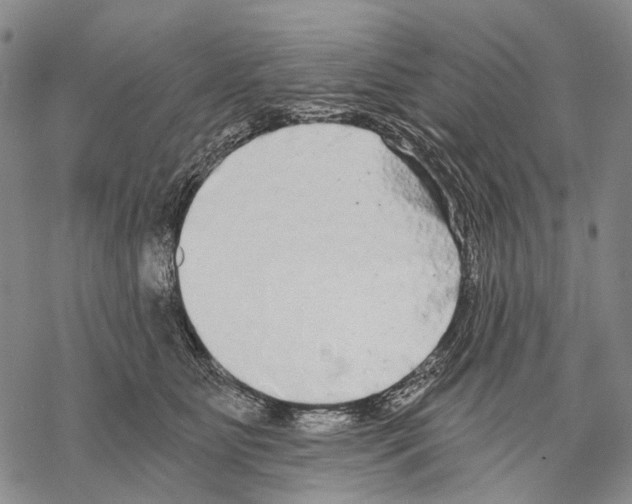 X0000068260515200605191806