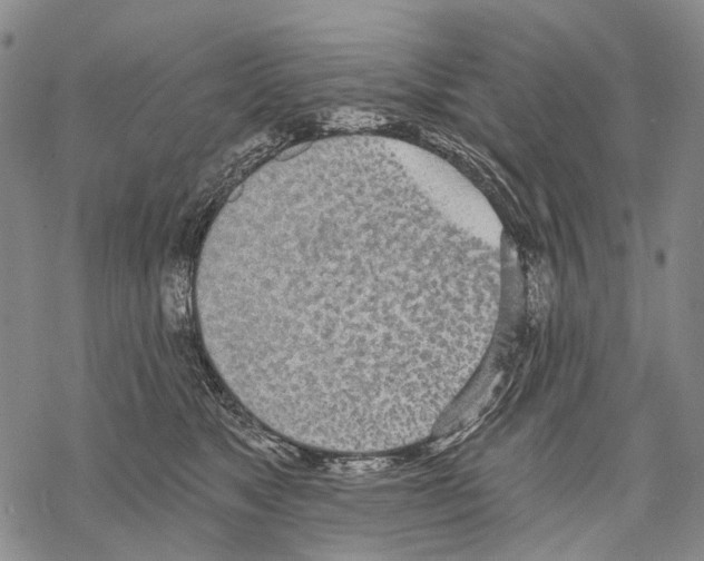 X0000068260517200605191806