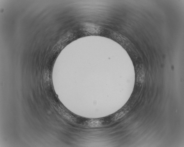 X0000068260518200605191806