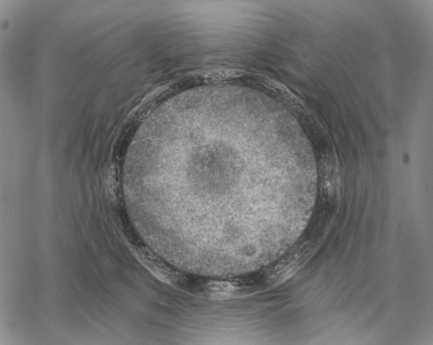 X0000068260519200605191806