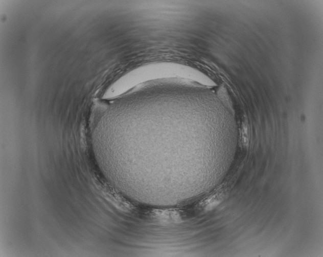 X0000068260520200605191806