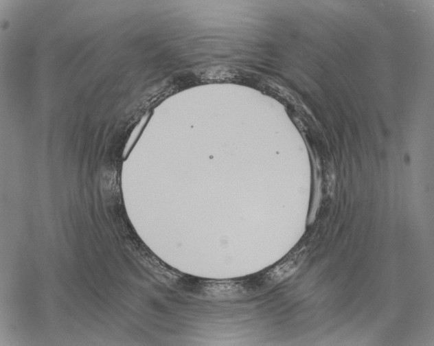 X0000068260521200605191806