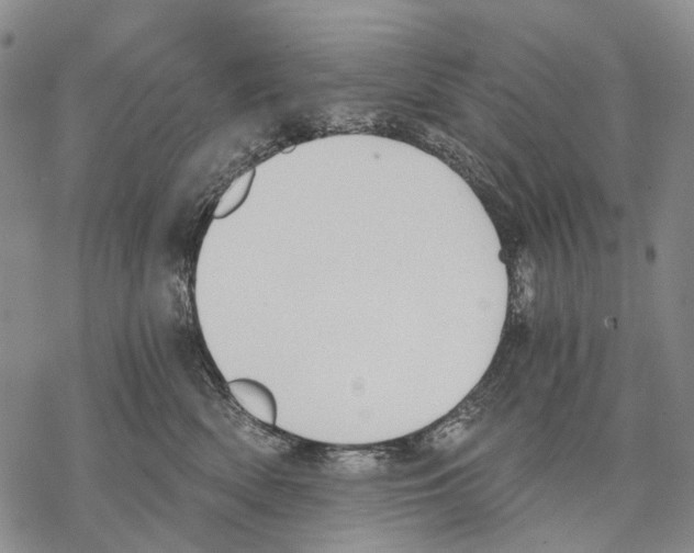 X0000068260522200605191806