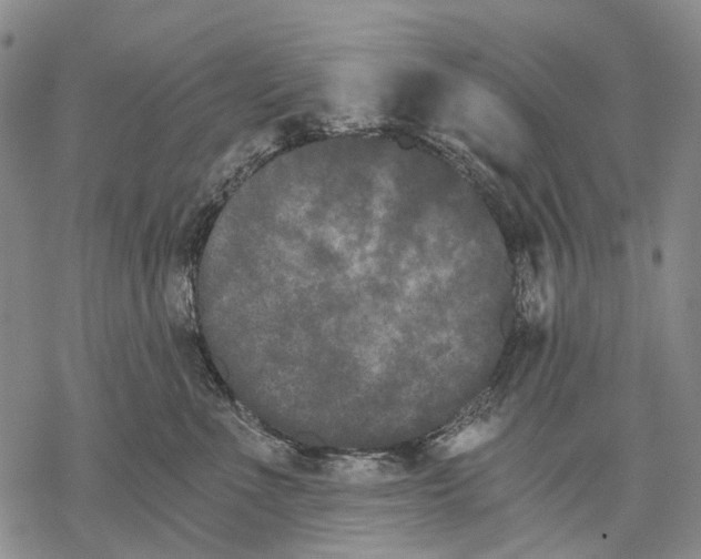 X0000068260523200605191806