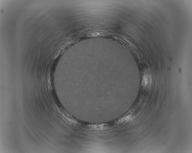 X0000068260524200605191806