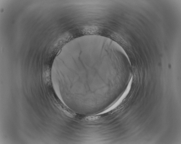 X0000068260526200605191806