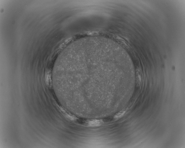 X0000068260527200605191806