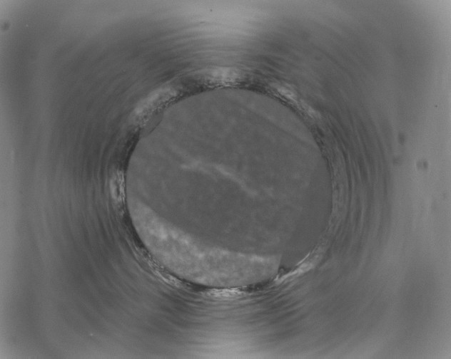 X0000068260528200605191806