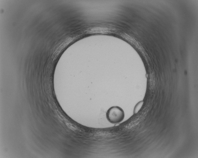 X0000068260529200605191805