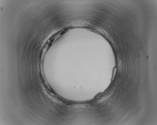 X0000068260530200605191805