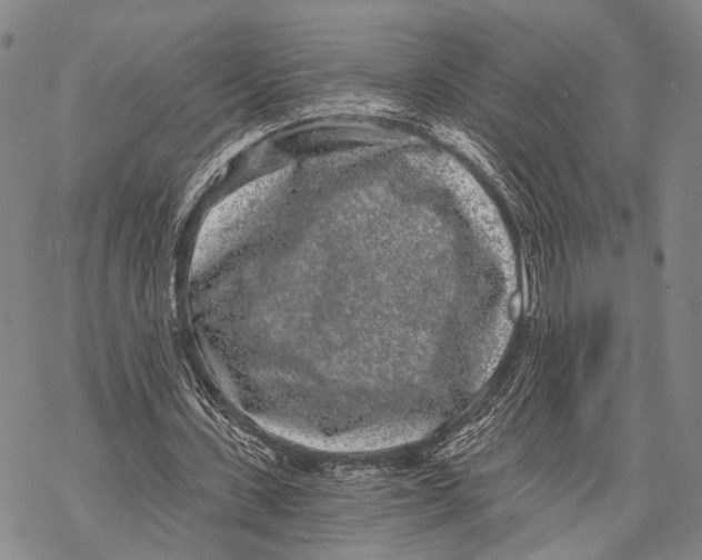 X0000068260531200605191805