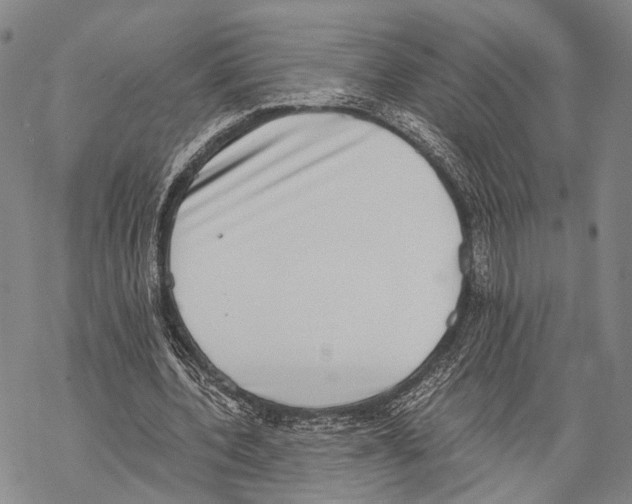 X0000068260532200605191805