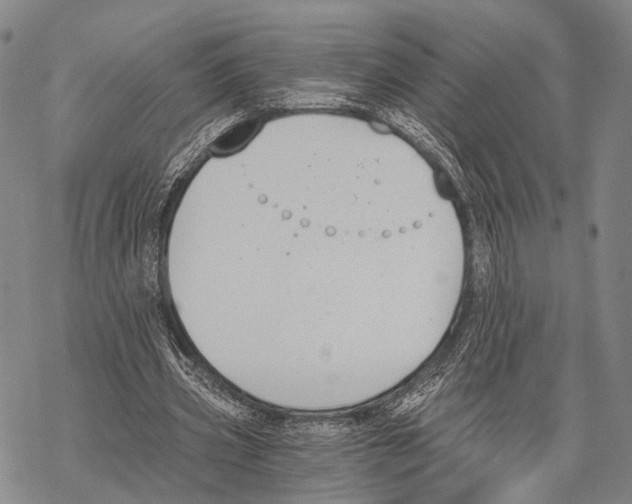 X0000068260533200605191805