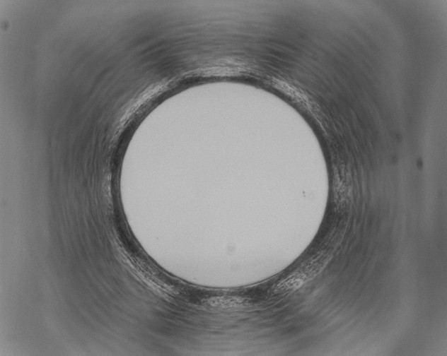 X0000068260535200605191805