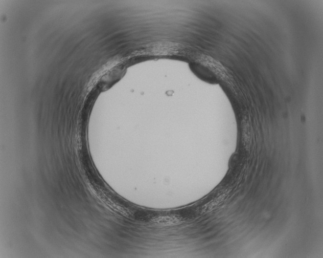 X0000068260536200605191805