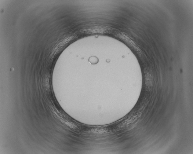 X0000068260537200605191805