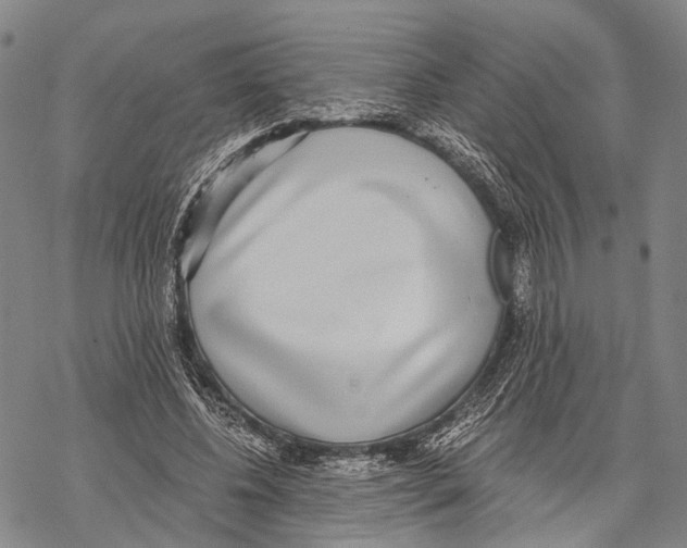 X0000068260540200605191805