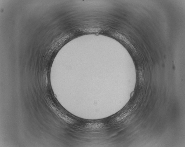 X0000068260541200605191805